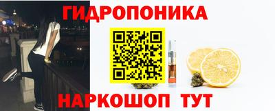 мяу мяу мука Гусев