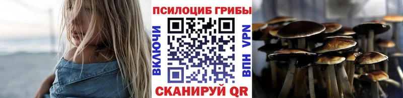 магазин    Кореновск  Псилоцибиновые грибы Magic Shrooms 
